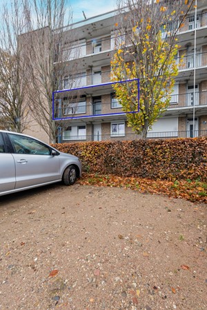 OBJ 2025 ODGH 1128 009.jpeg